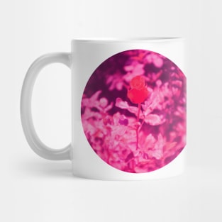 Pink Summer Rose Mug